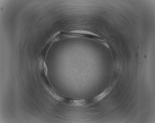 X0000083040188200702161716