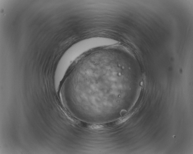 X0000083040189200702161716