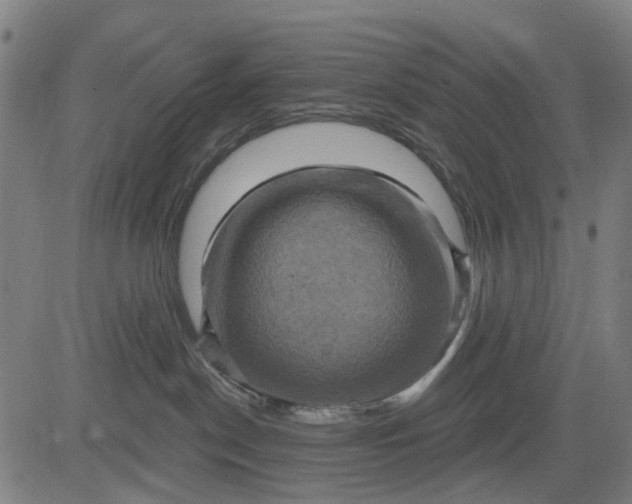 X0000083040190200702161716