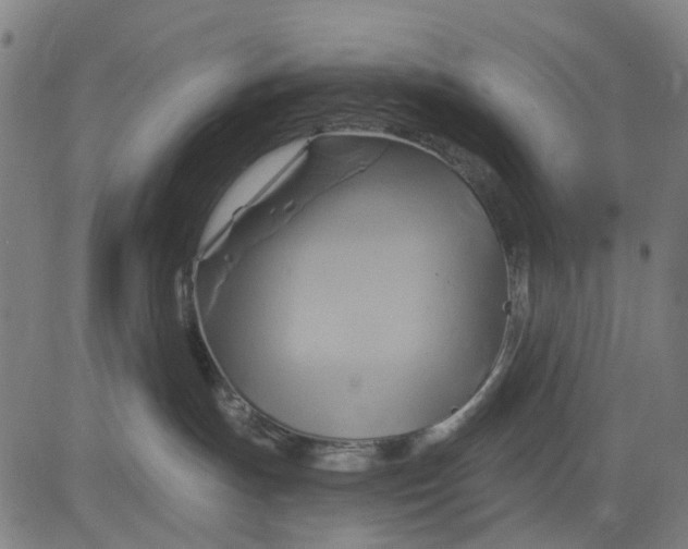 X0000083040191200702161716