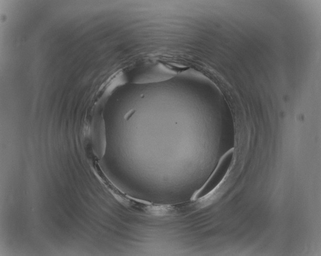 X0000083040192200702161716