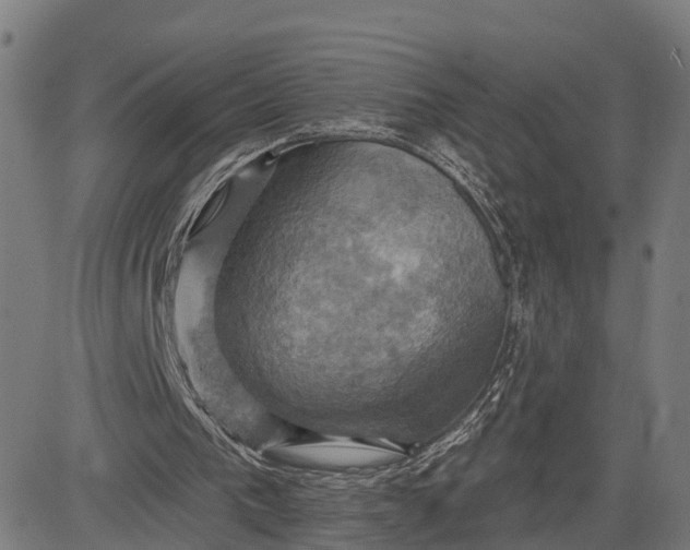 X0000083040193200702161715