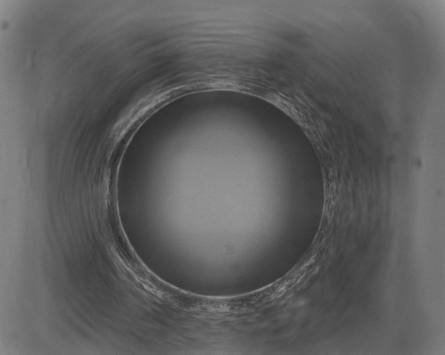 X0000083040194200702161715