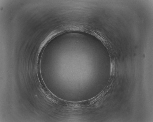 X0000083040195200702161715