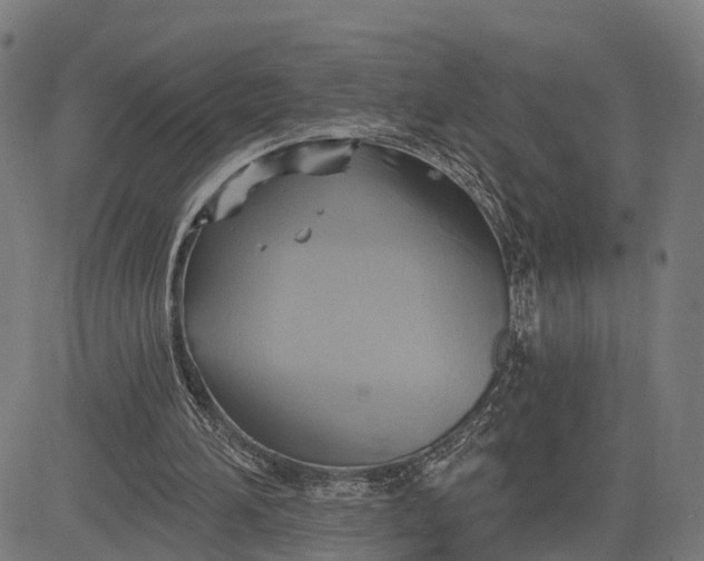 X0000083040196200702161715