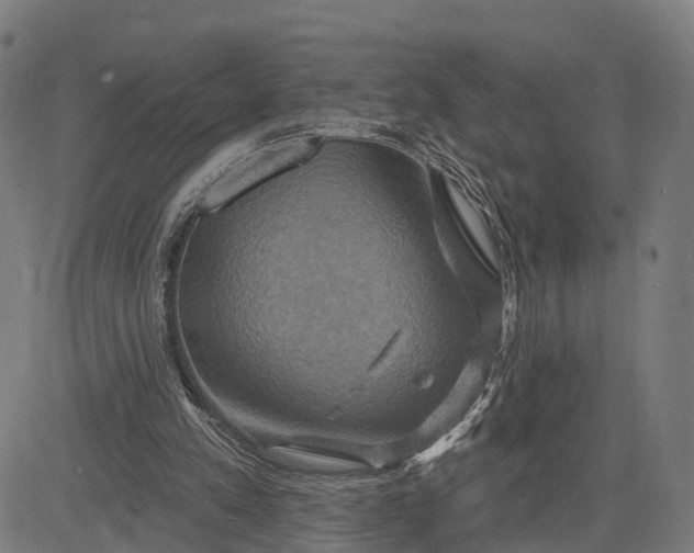 X0000083040197200702161715