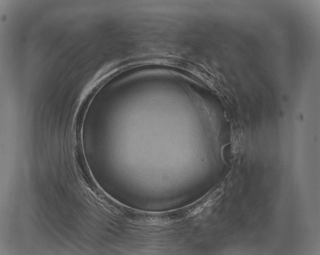 X0000083040198200702161715