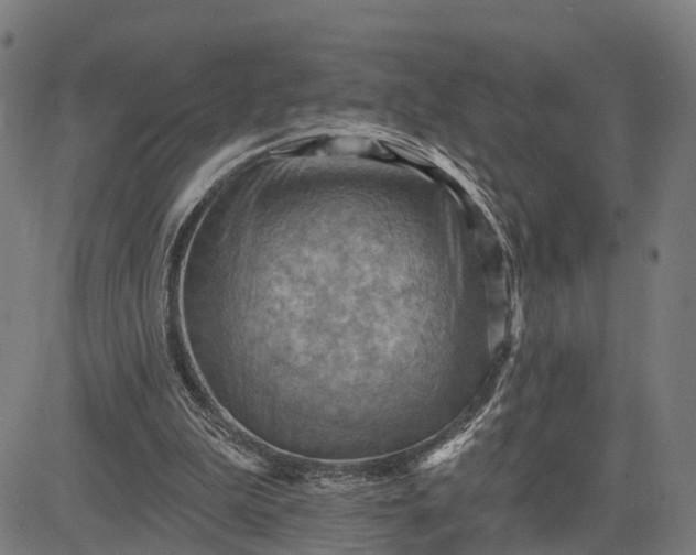 X0000083040199200702161715