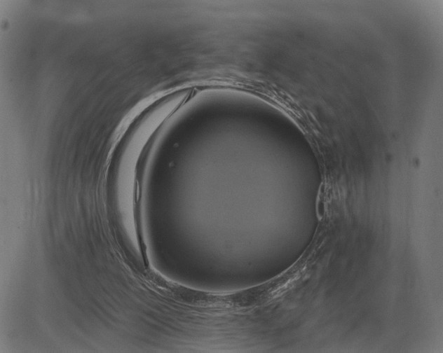 X0000083040200200702161715