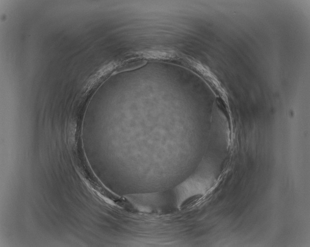 X0000083040201200702161715