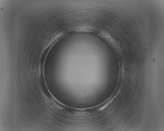 X0000083040202200702161715