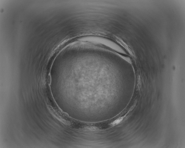 X0000083040203200702161715