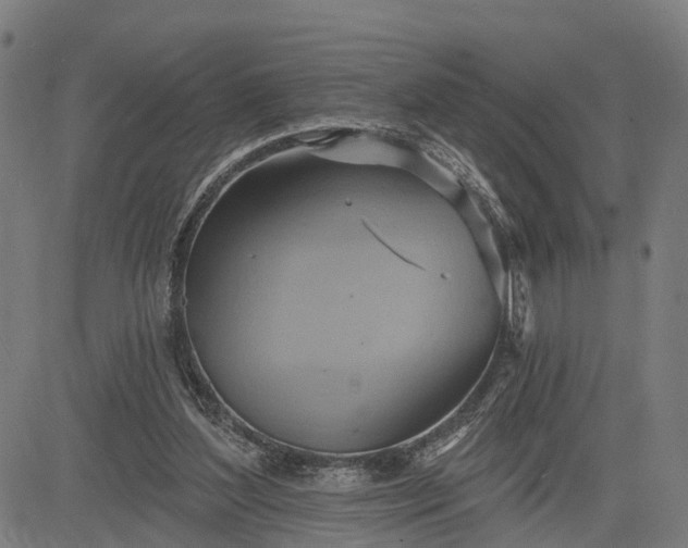 X0000083040204200702161715