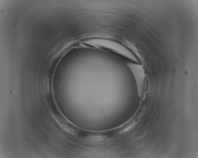 X0000083040205200702161715