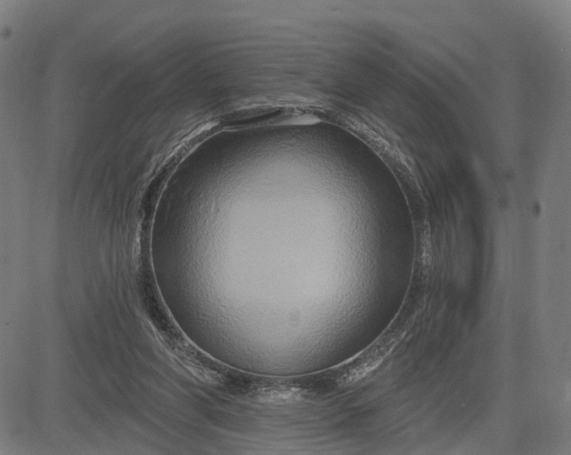 X0000083040206200702161715