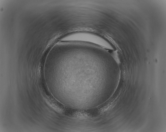 X0000083040207200702161715