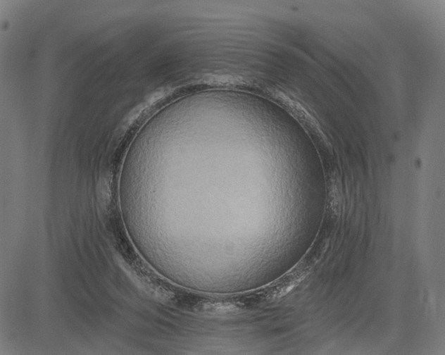 X0000083040208200702161715