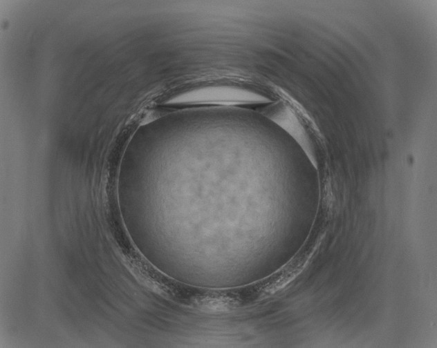 X0000083040209200702161715