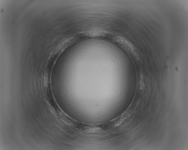 X0000083040210200702161715