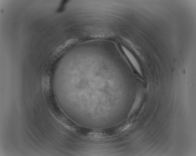 X0000083040211200702161715