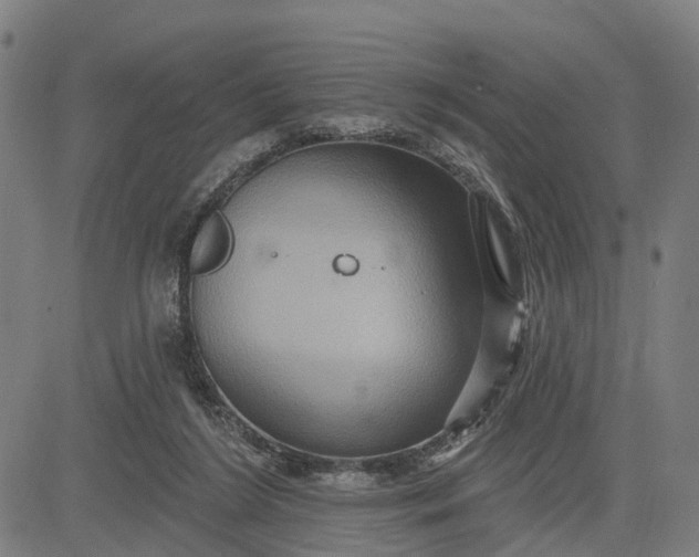 X0000083040212200702161715