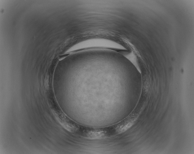 X0000083040213200702161715