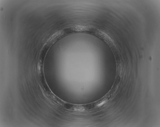 X0000083040214200702161714