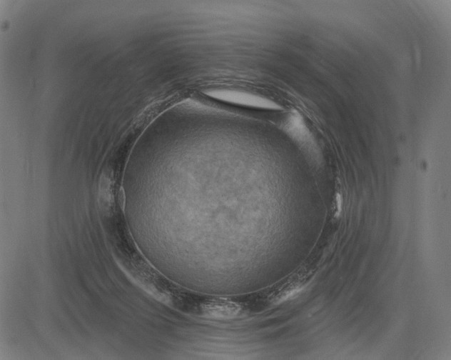 X0000083040215200702161714