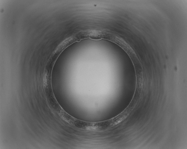 X0000083040216200702161714