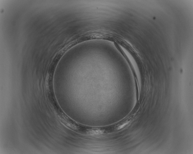 X0000083040217200702161714