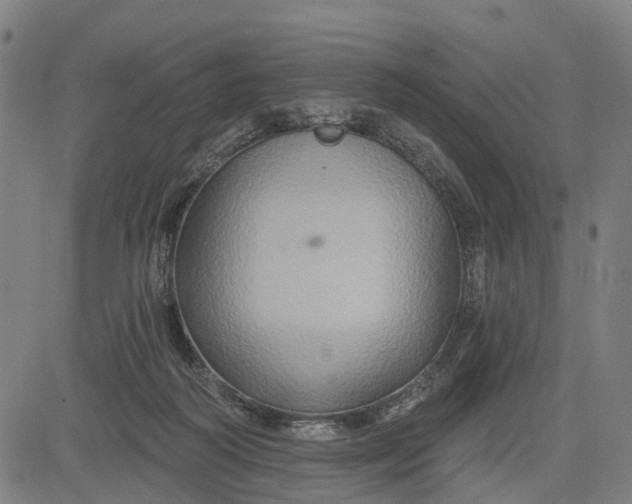 X0000083040218200702161714