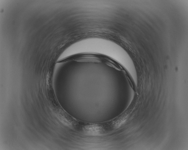 X0000083040219200702161714