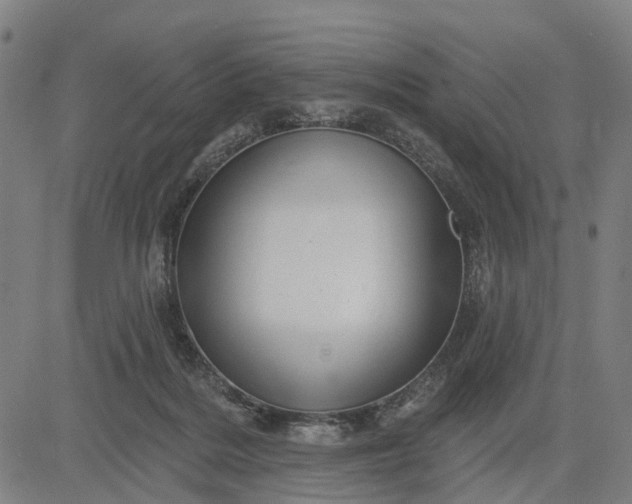 X0000083040220200702161714