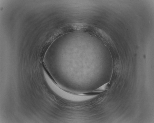 X0000083040221200702161714