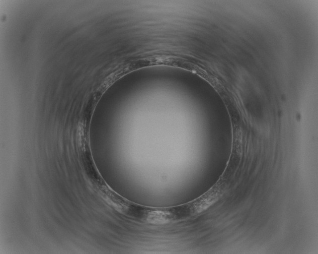 X0000083040222200702161714