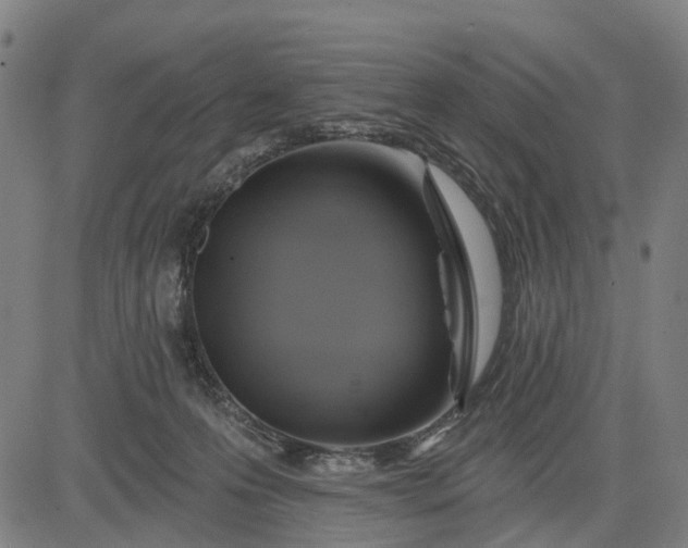 X0000083040223200702161714