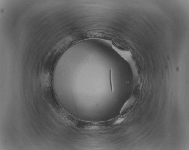 X0000083040224200702161714