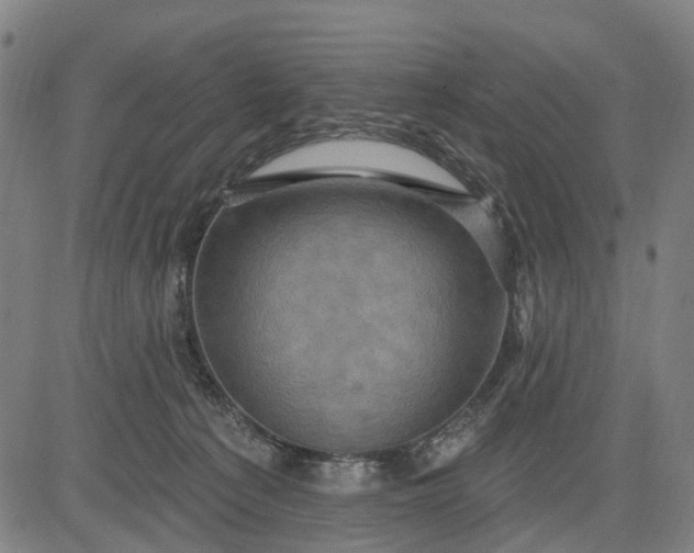 X0000083040225200702161714