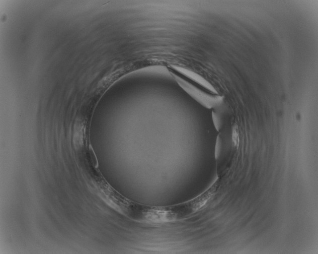 X0000083040227200702161714