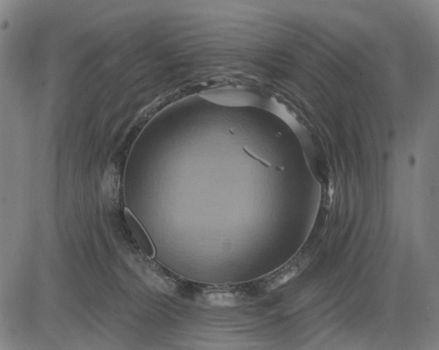 X0000083040228200702161714