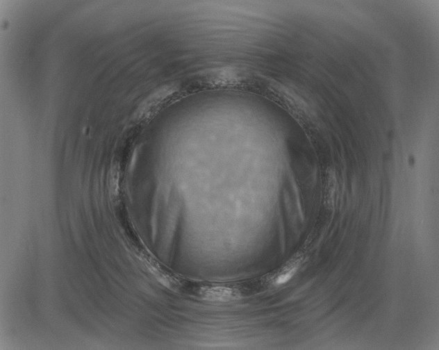 X0000083040230200702161714