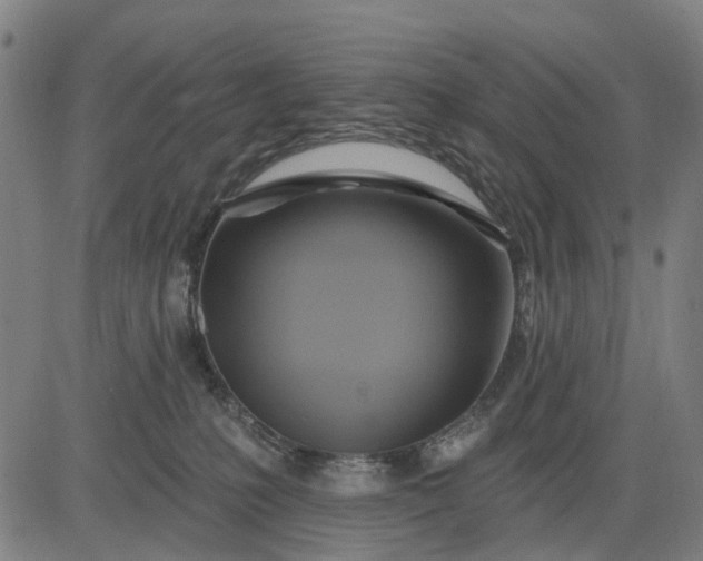 X0000083040231200702161714