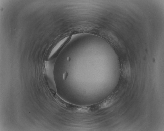 X0000083040232200702161714