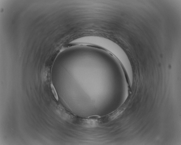 X0000083040233200702161714