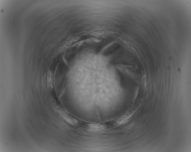 X0000083040234200702161714