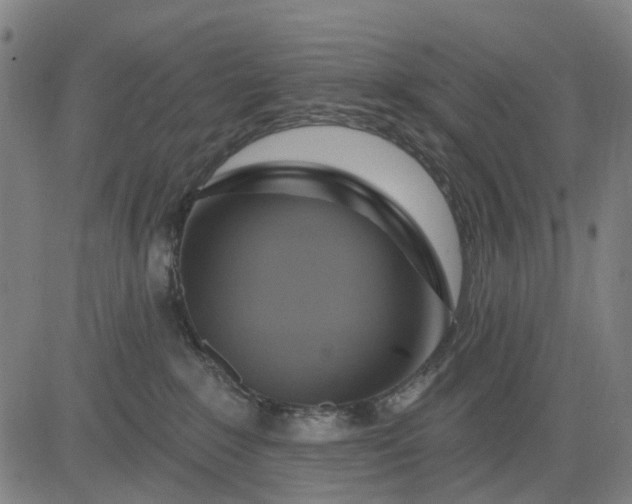 X0000083040235200702161714