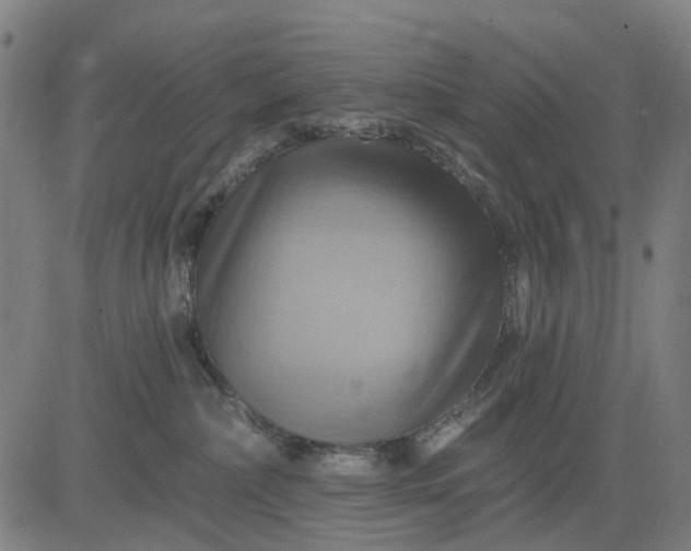 X0000083040236200702161714