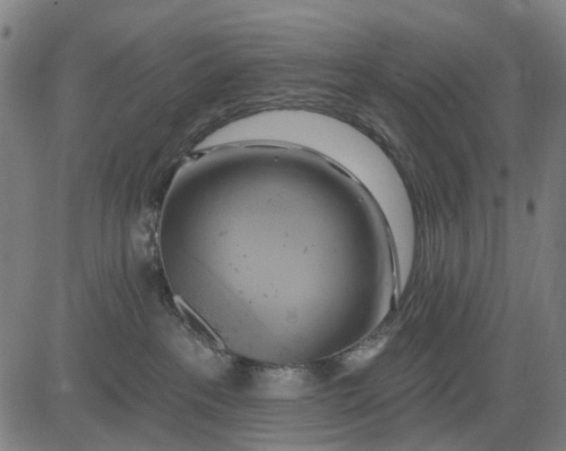 X0000083040237200702161714