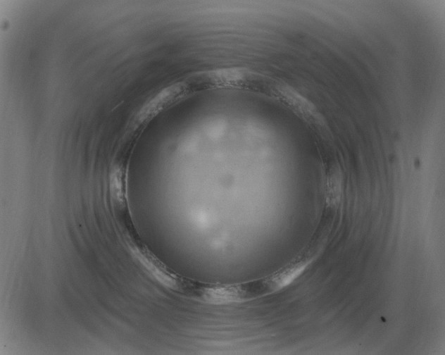 X0000083040238200702161714