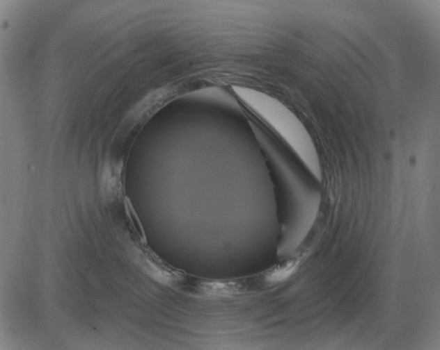 X0000083040239200702161714